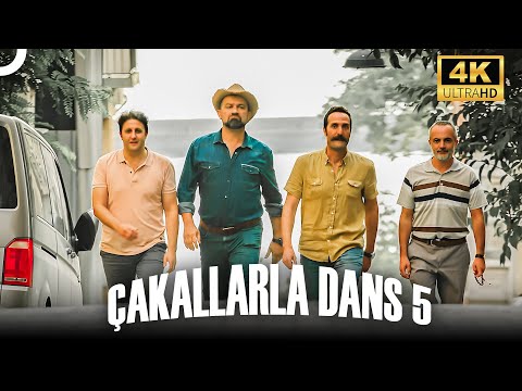 Çakallarla Dans 5 | 4K Komedi Filmi İzle