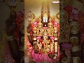 శ్రీ హరి నమో నమో #OmnamoNarayana #venkateshwaraswamysongs #annamacharyakeerthanalu #bhaktisongs - Video