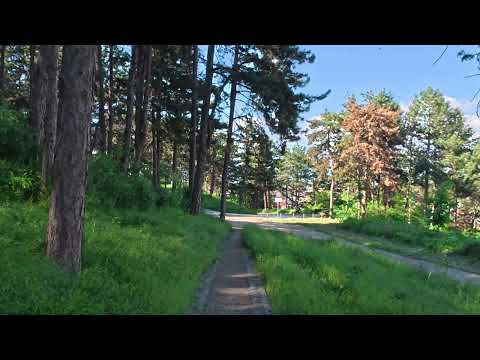 Hisar Hill Trail – Nature and Recreation in the Heart of Leskovac - Staza zdravlja na Hisaru