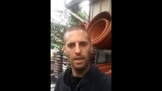 עציצים ואדניות