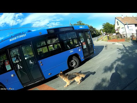 Napi jócselekedet - Todays good deed