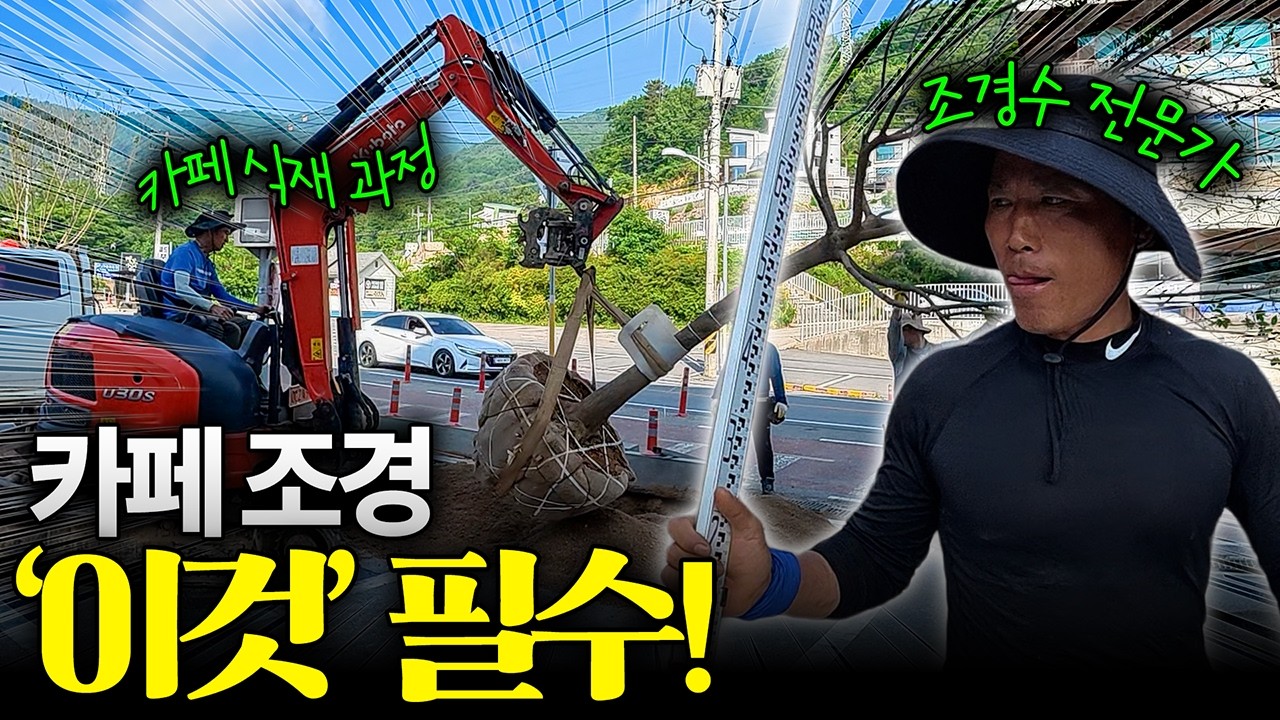 카페 조경 필수