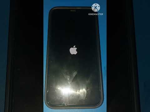 IPhone 11 Pro IOS 17.1 Beta 3 Software Update