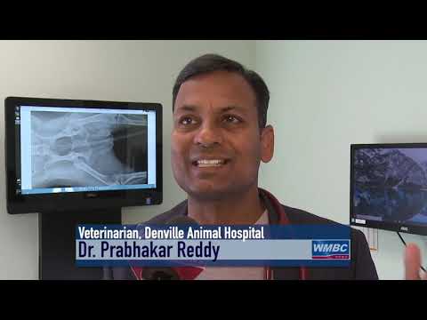 Rabid Raccoons Warning