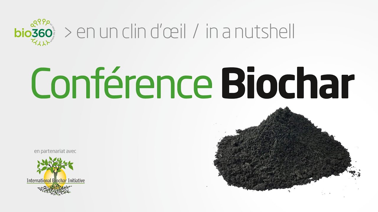 Biochar in a Nutshell - 2020