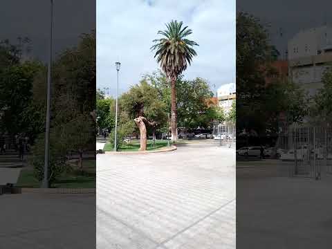 Plaza 25 de Mayo (San Juan,San Juan):13/03/2026!