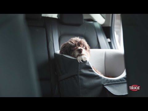 TRIXIE Autositz für Hunde, Hund im Auto transportieren