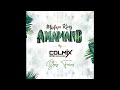 Dj COLMIX FEAT REFLEX  - Mixtape King Amapiano