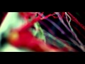 Flashbulb - A World I Never Noticed