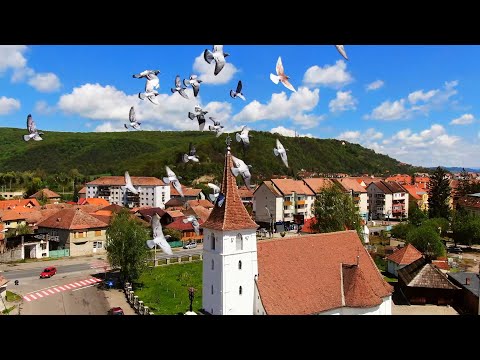 AC's Studio Sighisoara S&A Wedding Highlights