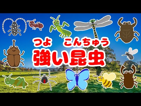 ティーバッグが昆虫について教えてくれること