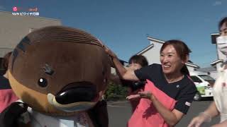 2024/10/28放送・知ったかぶりカイツブリにゅーす