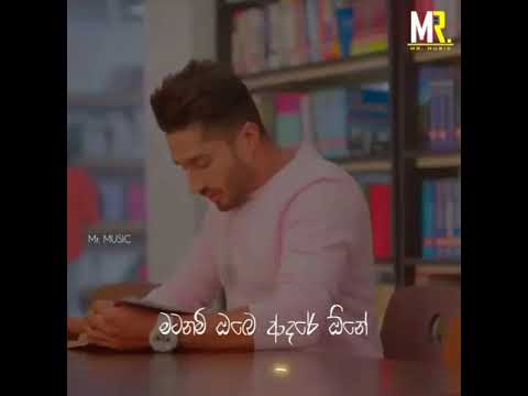 Chuttak Hari Dakkoth (චුට්ටක් හරි දැක්කොත්) | Lyrics Video | Roshan Samarawickrama | Mr MUSIC