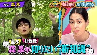 森泉が今最も知りたい｢動物好き｣u0026｢流木｣のニューカマーとは？『ニューかまー』6/9(月)【TBS】