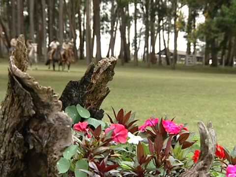 Parceiros de Campo - Joca Martins