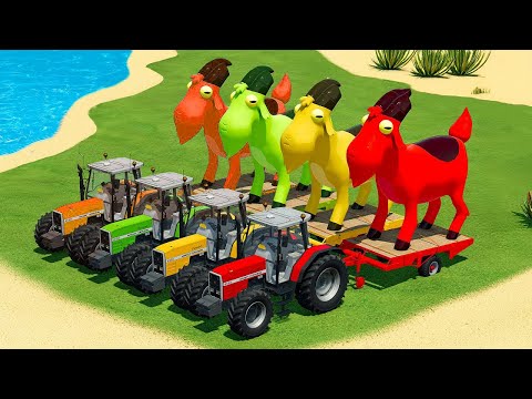 LOAD AND TRANSPORT GIANT GOATS, PIGS & DUCKS WITH MASSEY FERGUSON TRACTORS - Farming Simulator 22