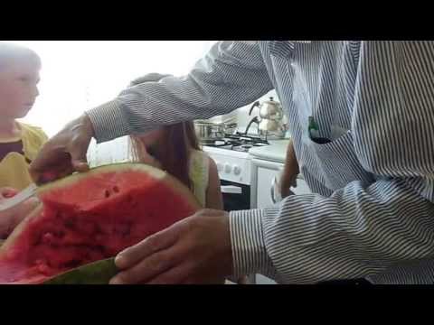 20 kg (!!) Vattenmelon
