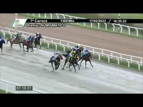 230217 c07 - BORDOLINO - HIPODROMO LAS PIEDRAS