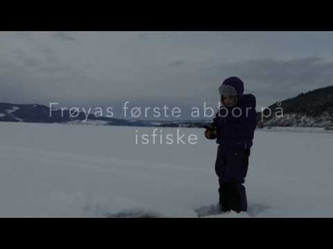 VESLEJENTA FÅR ABBOR PÅ ISEN