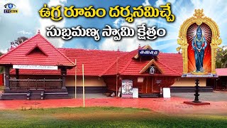 Temple video