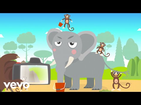 Jelonki - Pan kotek od fotek