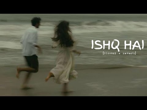 Ishq Hai | [Slowed + Reverb] | Mismatched Season 3  @anuragsaikia6277