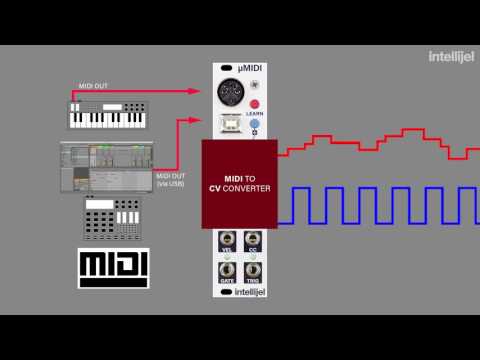 Intellijel µMIDI Tutorial 1 - MIDI to CV