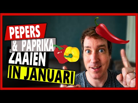 , title : 'PEPERS ZAAIEN EN PEPERS KWEKEN IN JANUARI | Vlog 114 | Paprika zaaien en paprika kweken in januari'