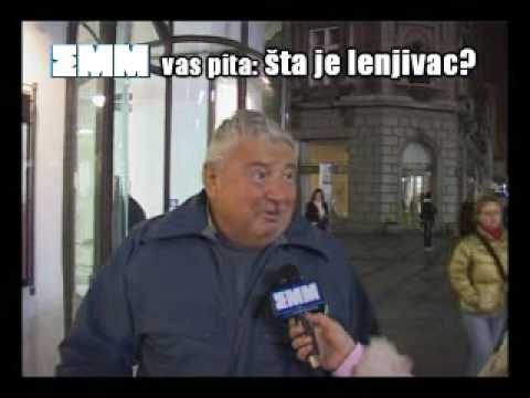 EMM Anketa - Lenjivac