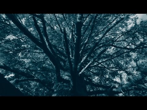 Peter Broderick - Up Niek Mountain (Official Music Video)