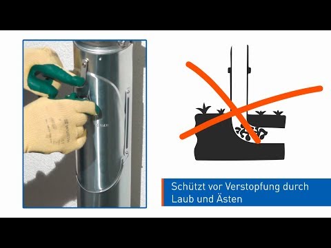 Laubfang und Großer Sammler