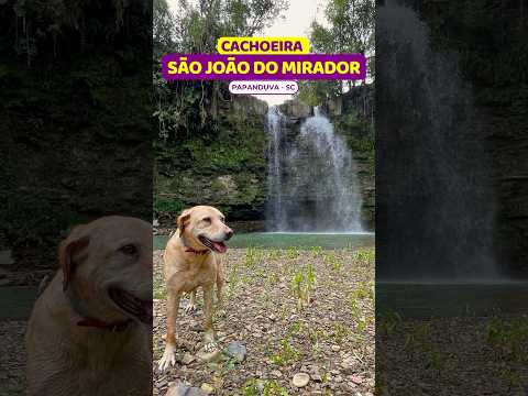 😱2 quedas de RIOS DIFERENTES na Cachoeira São João do Mirador | Papanduva