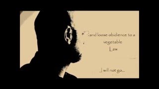 The Doors-&quot;Severed Garden&quot;