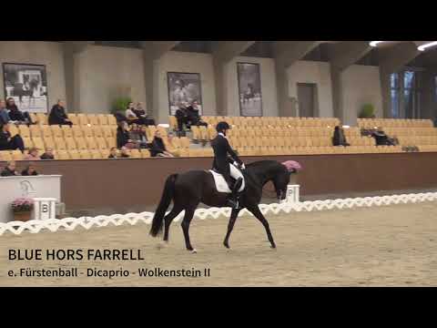 Farrell Prix St  George Youngster Cup Dressurfestival