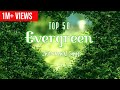 TOP 50 Evergreen Instrumental Songs