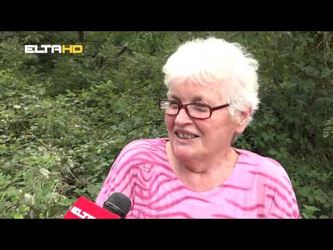 BL HRONIKA 06 10 20 - VODA ULICA BRACE MILETIC