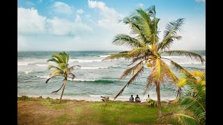 Ocean Palm || Music to  Relax ||  Meditation || Sound to relieve your stress