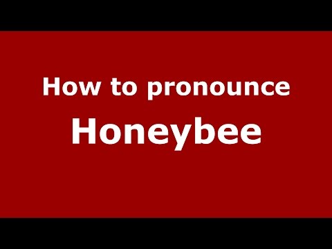 How to pronounce Honeybee