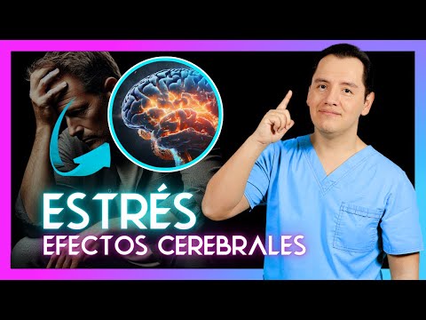 The Powerful Impact of CHRONIC STRESS on your BRAIN! 🧠