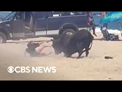 Woman attacked by bull on Mexico beach after ignoring warnings