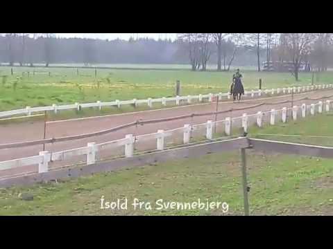 Ísold fra Svennebjerg