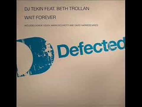 DJ TEKIN FT BETH TROLLAN-WAIT FOREVER