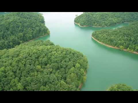 download lagu mp3 mp4 Land For Sale Near Dale Hollow Lake, download lagu Land For Sale Near Dale Hollow Lake gratis, unduh video klip Land For Sale Near Dale Hollow Lake