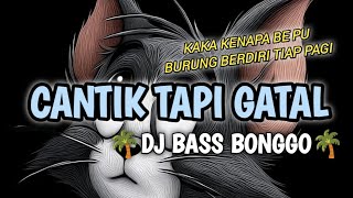 Download lagu 🌴DJ BAS BONGGO🌴 - ( CANTIK TAPI GATAL X KAKA KENAPA BE PU BURUNG BERDIRI TIAP PAGI) - EANG SELAN mp3 Download lagu 🌴DJ BAS BONGGO🌴 - ( CANTIK TAPI GATAL X KAKA KENAPA BE PU BURUNG BERDIRI TIAP PAGI) - EANG SELAN mp3