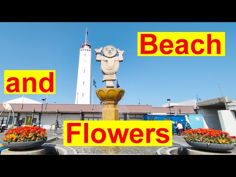 Noordwijk: Dutch Dream Beach & Tulip Magic!