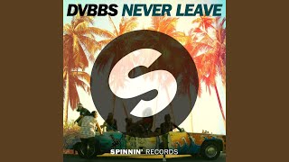 Never Leave (Extended Mix)