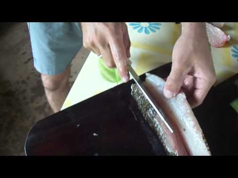 Vídeo: Filé de traíra: dúvidas e respostas do preparo