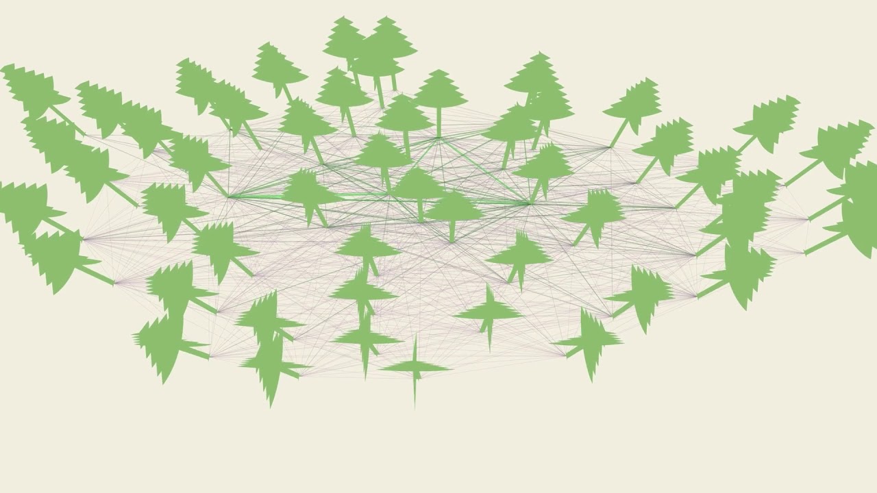 Network Resilience - Ecosystem