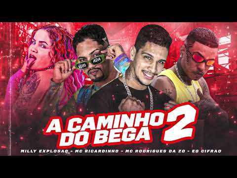 MC RICARDINHO, MC RODRIGUES DA ZO, ÉO CIFRÃO, MILLY EXPLOSÃO - A CAMINHO DO BEGA 2 - BREGA FUNK
