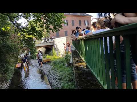 Entenrennen auf dem Sulzbach in Sossenheim 2017